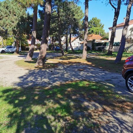 Logis Hotel Restaurant Les Charmettes Argelès-sur-Mer Εξωτερικό φωτογραφία